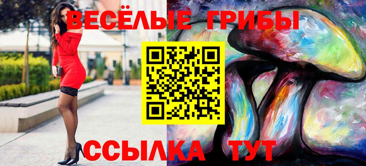 Мичуринск  наркота  Вход с VPN  Псилоцибиновые грибы Cubensis 