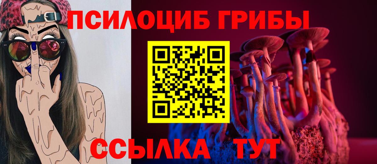 Галлюциногенные грибы MAGIC MUSHROOMS Мичуринск